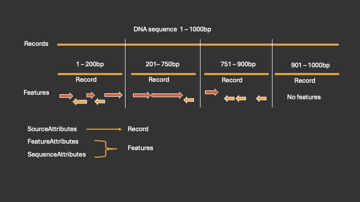 explanatory diagram for the file datatypes